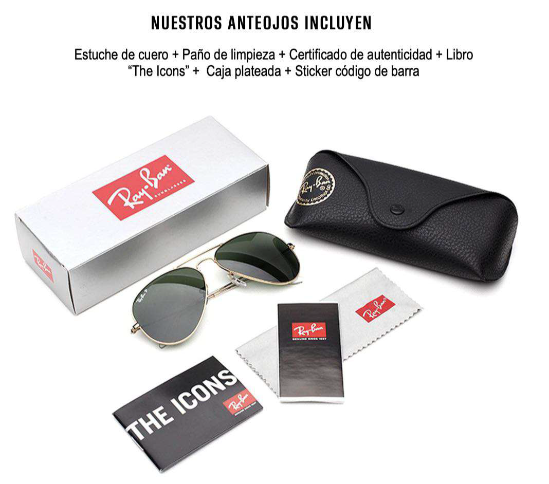 Lentes de Sol Ray-Ban Erika Negro/Gris degradé